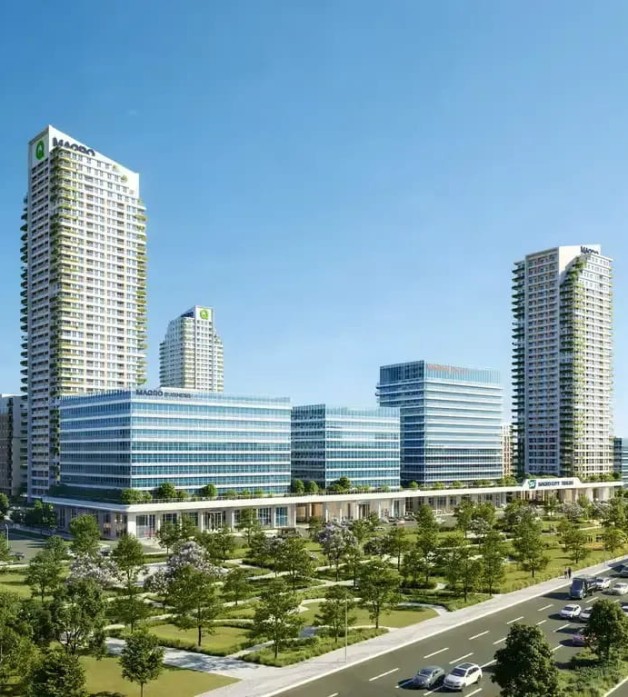 project view